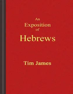 an exposition of hebrews book cover image