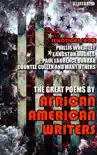 The Great Poems by African American Writers synopsis, comments