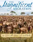 The Magnificent Migration synopsis, comments