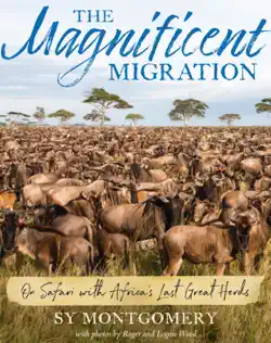 the magnificent migration book cover image