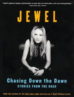chasing down the dawn book cover image