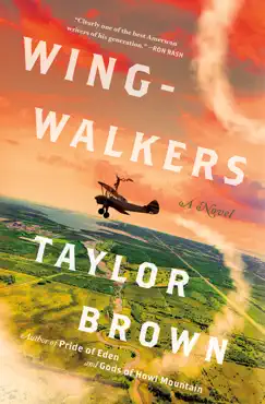 wingwalkers book cover image