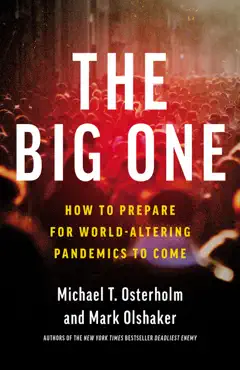 the big one book cover image
