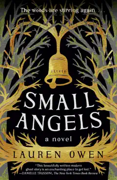 small angels book cover image