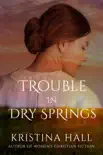 Trouble in Dry Springs synopsis, comments