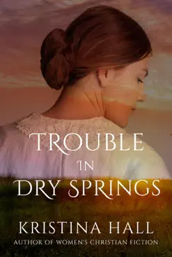 trouble in dry springs book cover image