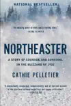 Northeaster synopsis, comments