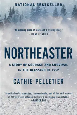 northeaster book cover image