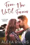 From Now Until Forever synopsis, comments