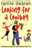 Looking for a Cowboy synopsis, comments