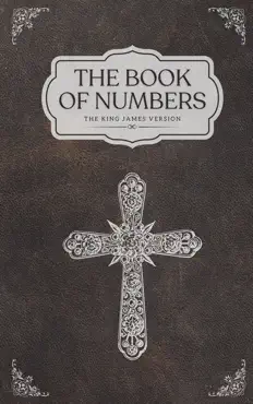 the book of numbers book cover image