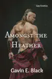 Amongst the Heather synopsis, comments