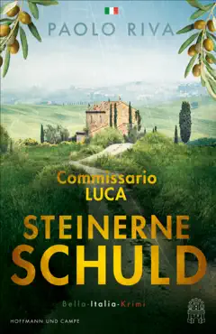 steinerne schuld book cover image