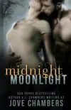 Midnight Moonlight sinopsis y comentarios