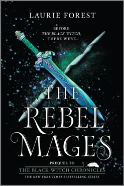 the rebel mages book cover image