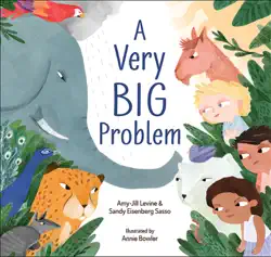a very big problem book cover image