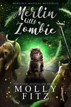 merlin kills a zombie book cover image