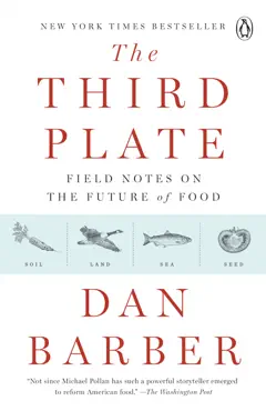 the third plate book cover image