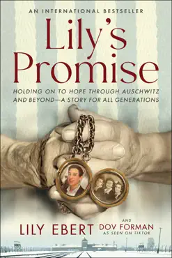 lily's promise book cover image