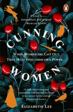 cunning women book cover image
