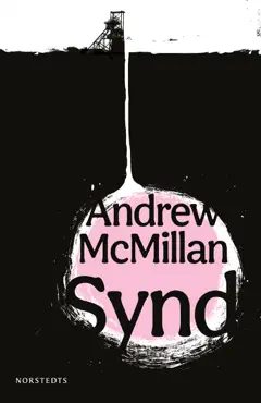 synd book cover image
