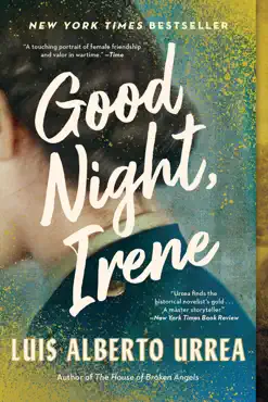 good night, irene book cover image
