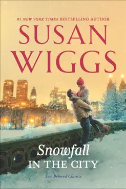 snowfall in the city book cover image