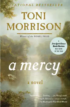a mercy book cover image