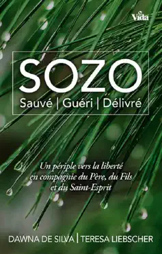 sozo book cover image