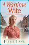 A Wartime Wife synopsis, comments