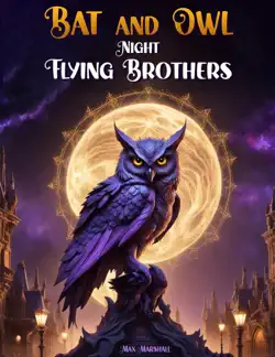 bat and owl - night flying brothers book cover image
