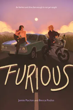 furious book cover image