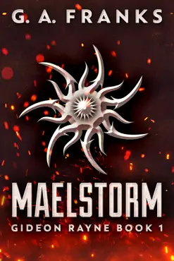 maelstorm book cover image