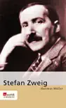 Stefan Zweig sinopsis y comentarios