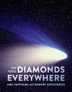 diamonds everywhere book cover image
