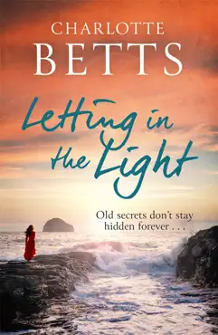 letting in the light book cover image