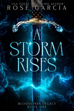 a storm rises book cover image