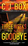 Three Weeks to Say Goodbye synopsis, comments