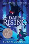 The Dark Is Rising synopsis, comments