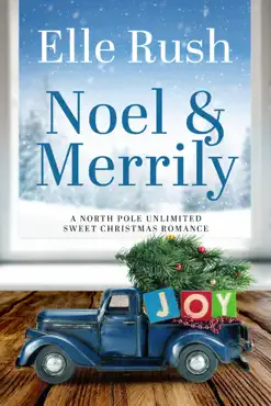 noel and merrily book cover image