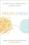 Mindfulness synopsis, comments