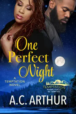 one perfect night book cover image