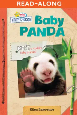 baby panda read-along book cover image