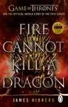 Fire Cannot Kill a Dragon sinopsis y comentarios