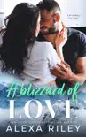 A Blizzard of Love synopsis, comments