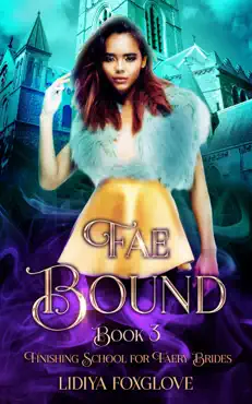fae bound book cover image