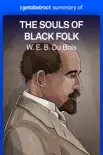 Summary of The Souls of Black Folk by W. E. B. Du Bois synopsis, comments