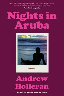 nights in aruba book cover image