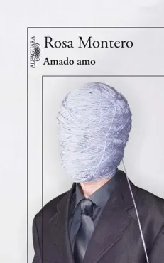 amado amo book cover image