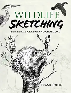 wildlife sketching book cover image